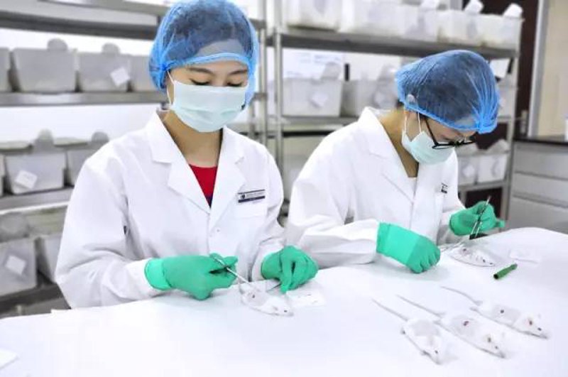 生物技术研发选购指南：助力科研创新
