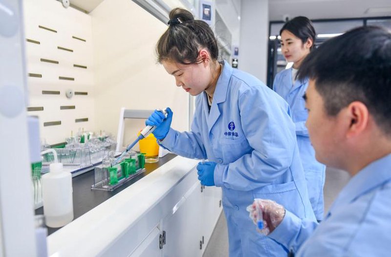 生物医药行业的创新案例分析：从科研到临床的蝶变